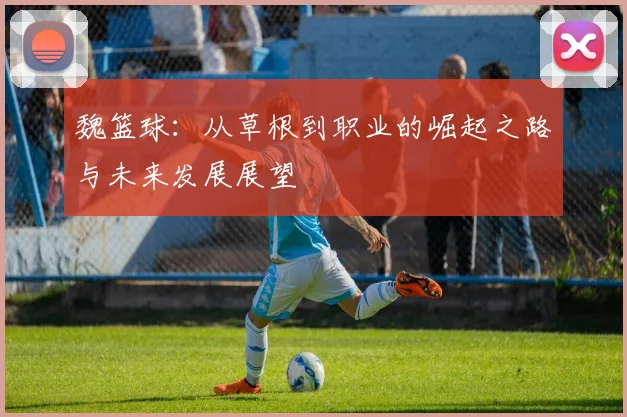 魏篮球：从草根到职业的崛起之路与未来发展展望