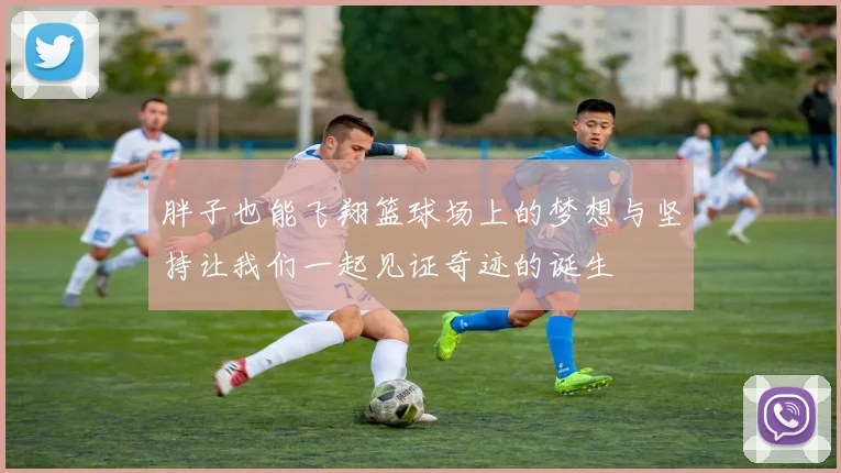 胖子也能飞翔篮球场上的梦想与坚持让我们一起见证奇迹的诞生