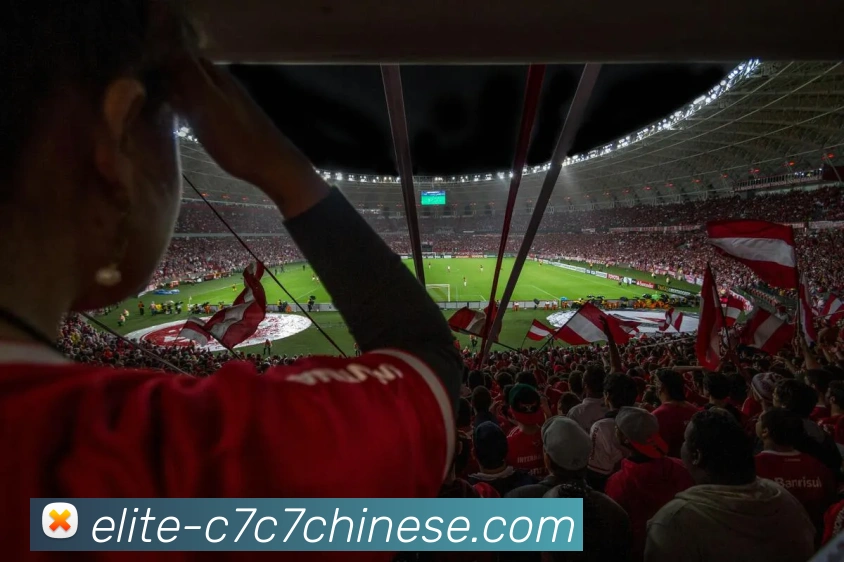 C7娱乐平台生态图